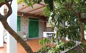 Casita Lily